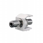 NK35MSCIG Picture