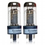 GROUPING_PAIR_GL-6V6GT Picture