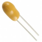 T350H107K006AS Picture