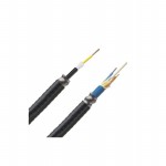 FOMPX24Y Picture