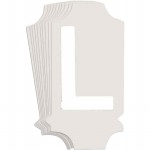 5040-L Picture