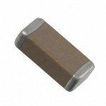 202R29W471KV4E Picture