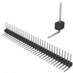PEC31SGBN Picture