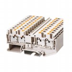 DP4-TR Picture