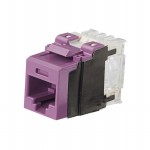 NK6X88MVL Picture