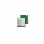 L70B-M39 Picture
