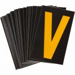 5890-V Picture
