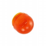 25P-306A Picture