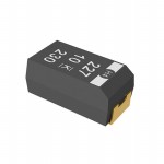 T502B106M016AG6310 Picture