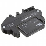 DRA1-MPDCD3 Picture