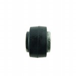 RA254 Picture