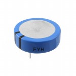 FYH0H104ZF Picture