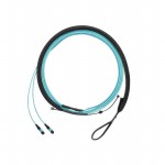 FZTRP7NQSONF008 Picture