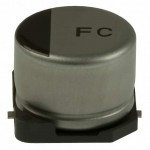 EEV-FC1A101P Picture