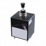 PP21-2-3.00A-OB-V Picture