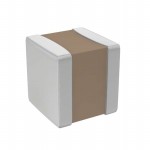 VJ0505D101JXCAJ Picture