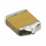 F951C336MTAAQ2 Picture