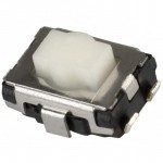EVQ-P2P02W Picture