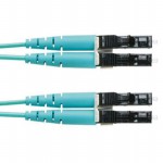 FZ2ERLNLNONM001 Picture