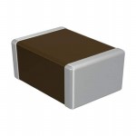 C1210X103K102T Picture