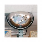 490310 Picture