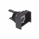 A165-CJM Picture