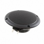 FR 10 WP - 4 OHM (BLACK) Picture