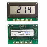 DK173 Picture