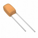 199D106X5016C1V1E3 Picture
