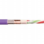 CFBUS-020 Picture