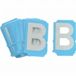6004-B Picture