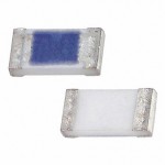 0685P9500-01 Picture