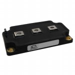 APTGT600SK60G Picture