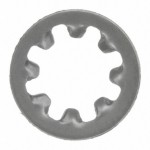 INTLWSS 008 Picture