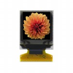 O9696A-F-TW3 Picture