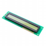 LCM-S01601DSR/D Picture