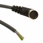 EW1200126 BK401 Picture