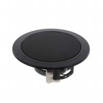 DL 10 - 8 OHM (RAL 9005) Picture
