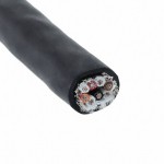 45274 BK199 Picture