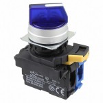 A22NW-2MM-TAA-G100-AC Picture