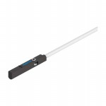 SME-10M-DS-24V-E-0,3-L-M8D Picture